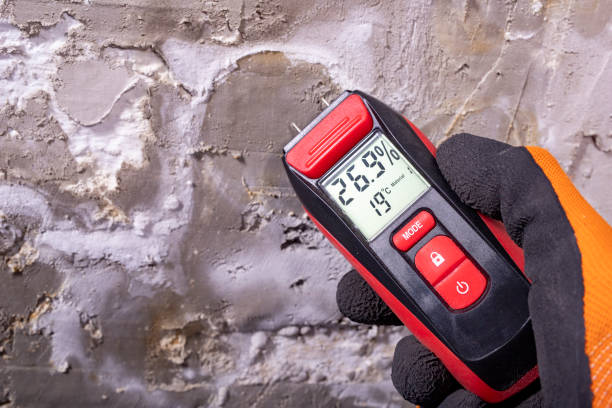Best Commercial Mold Remediation in Doe Valley, KY
